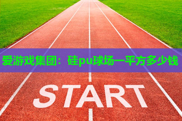 爱游戏集团：硅pu球场一平方多少钱