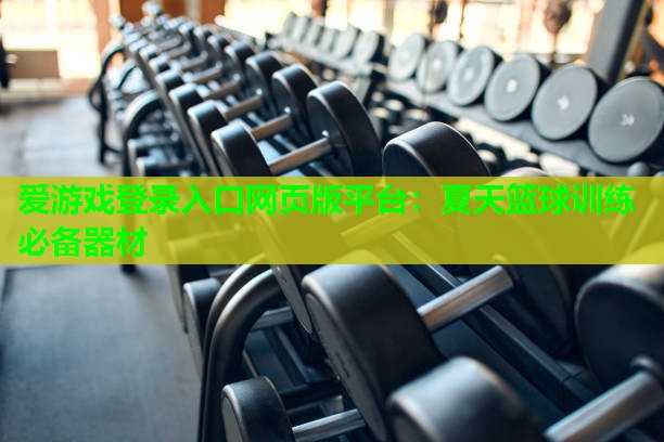 爱游戏登录入口网页版平台：夏天篮球训练必备器材