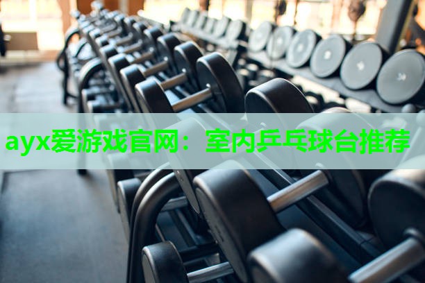 ayx爱游戏官网：室内乒乓球台推荐