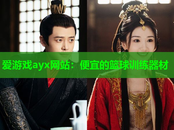 爱游戏ayx网站：便宜的篮球训练器材