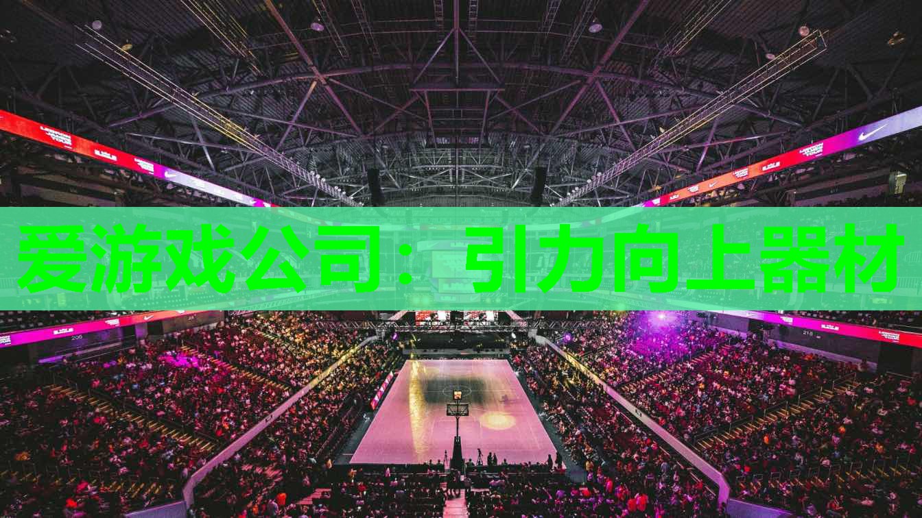 爱游戏公司：引力向上器材