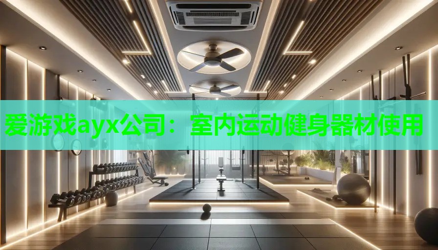 爱游戏ayx公司：室内运动健身器材使用