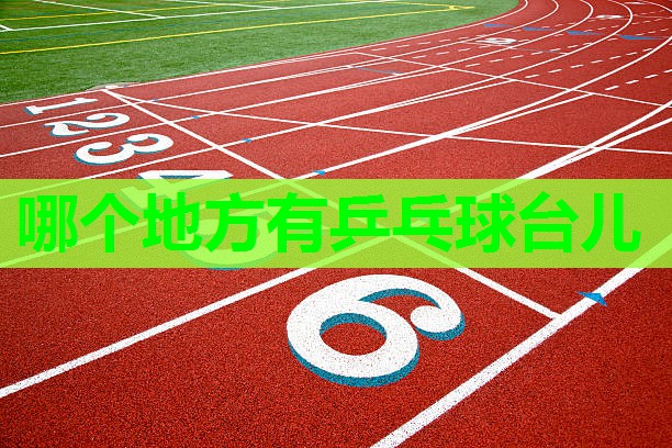 哪个地方有乒乓球台儿