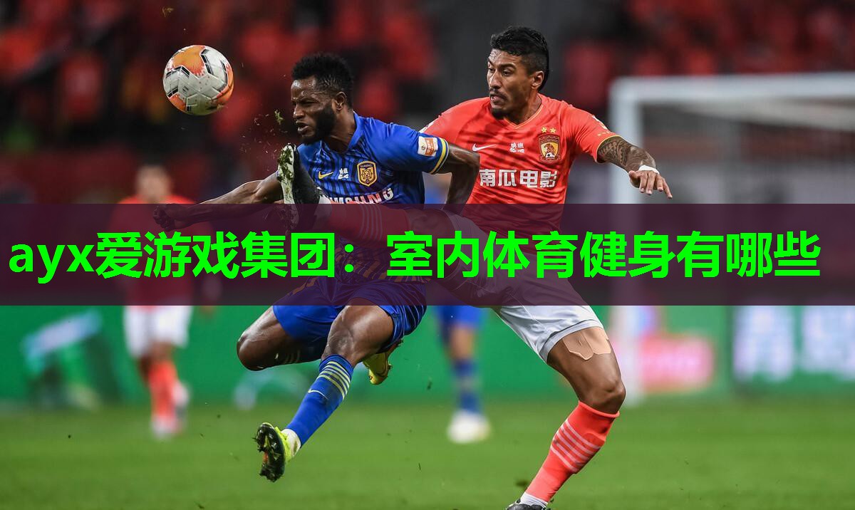 ayx爱游戏集团：室内体育健身有哪些