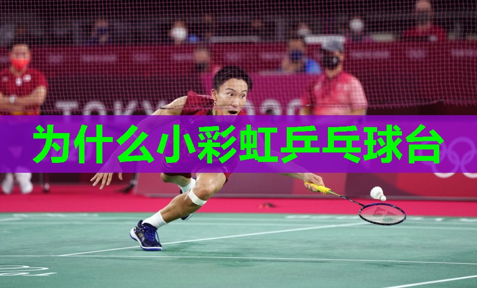 为什么小彩虹乒乓球台