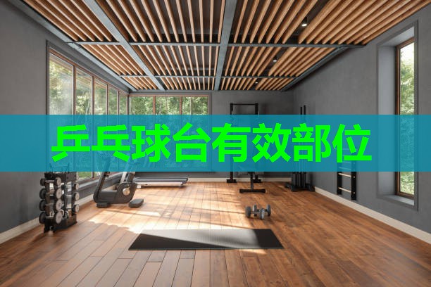 乒乓球台有效部位