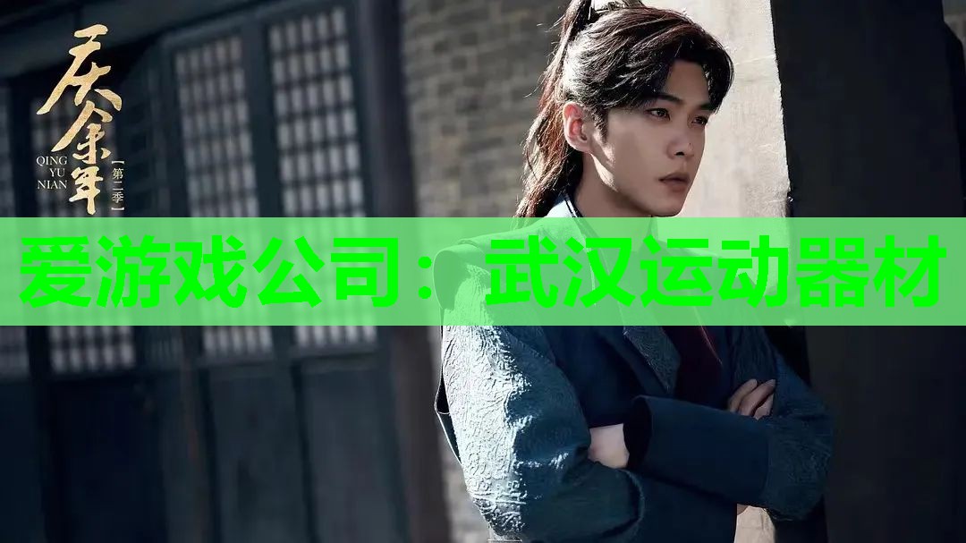 爱游戏公司：武汉运动器材