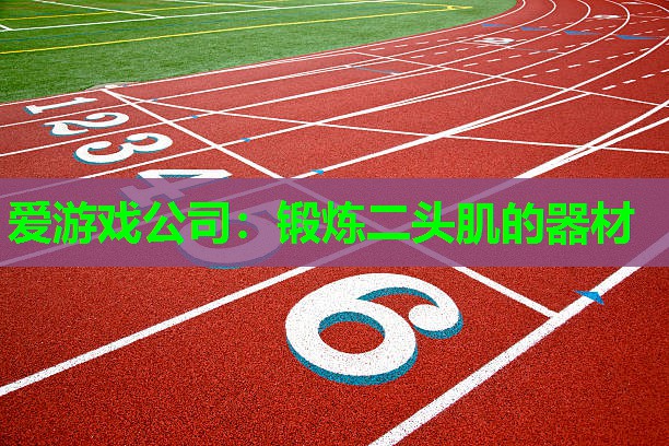 爱游戏公司：锻炼二头肌的器材