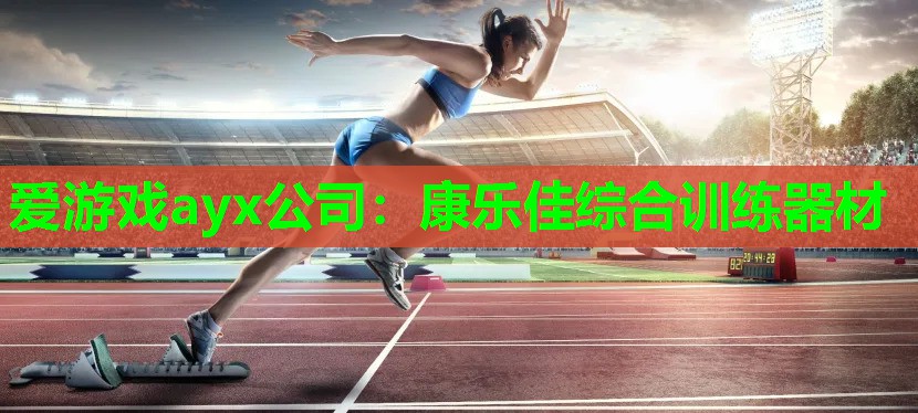 爱游戏ayx公司：康乐佳综合训练器材