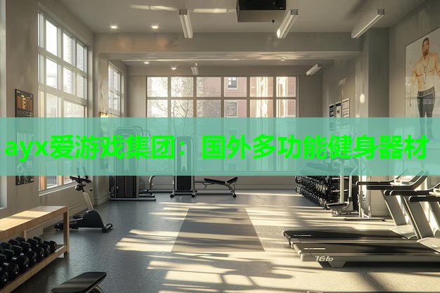 ayx爱游戏集团：国外多功能健身器材