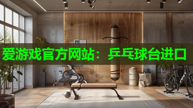 爱游戏官方网站：乒乓球台进口