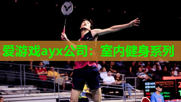 爱游戏ayx公司：室内健身系列