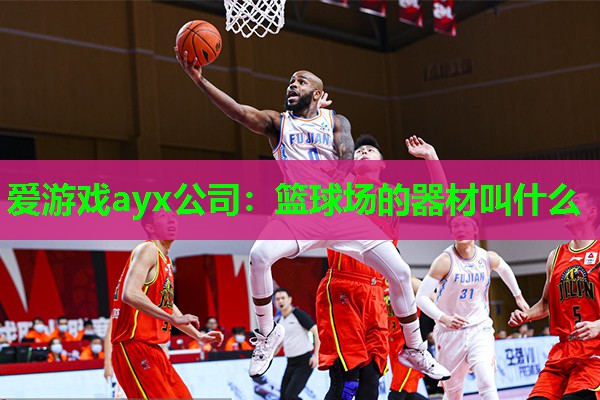 爱游戏ayx公司：篮球场的器材叫什么