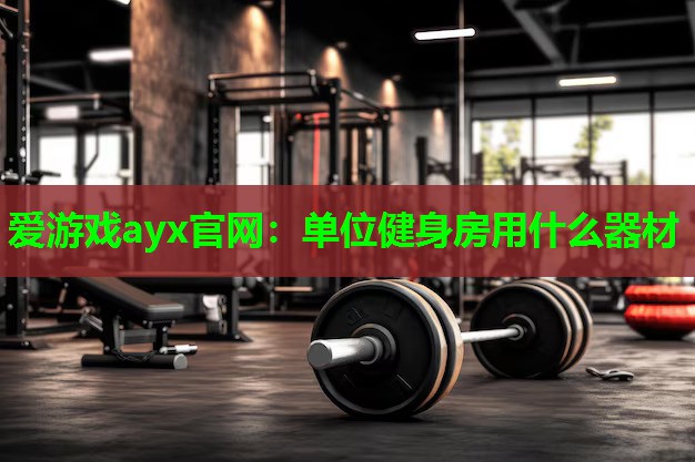 爱游戏ayx官网：单位健身房用什么器材