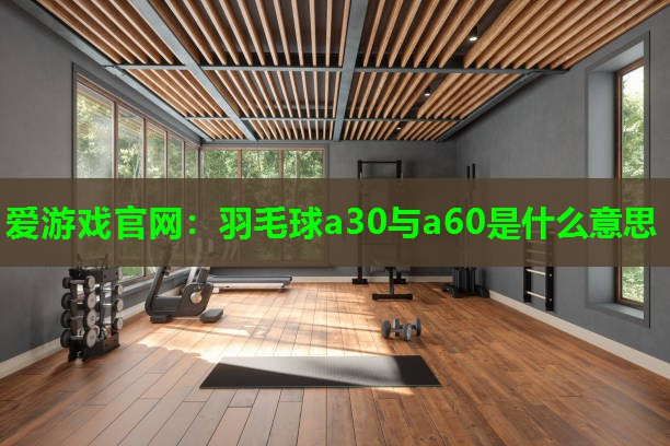 爱游戏官网：羽毛球a30与a60是什么意思
