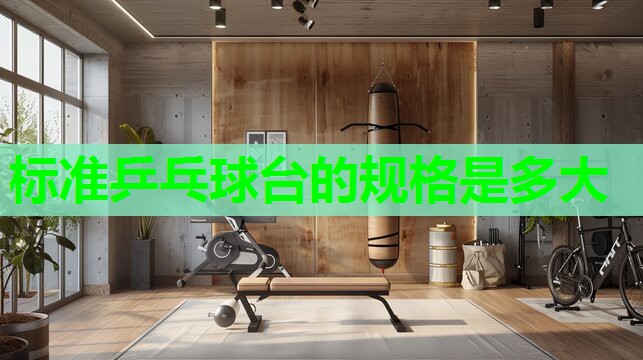 标准乒乓球台的规格是多大