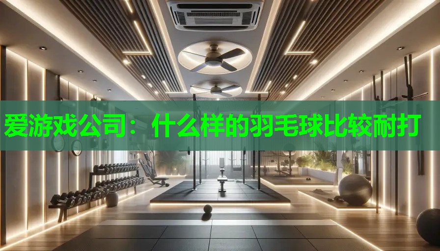 爱游戏公司：什么样的羽毛球比较耐打