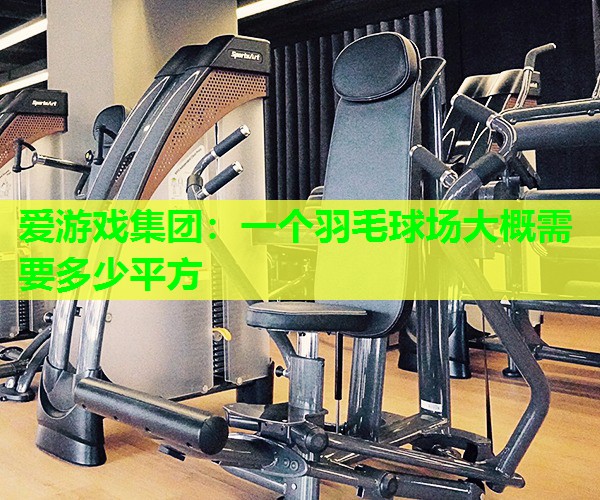 爱游戏集团：一个羽毛球场大概需要多少平方