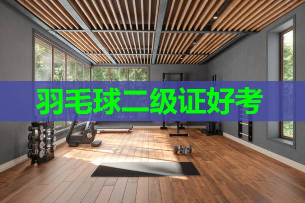 羽毛球二级证好考