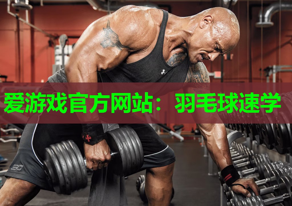 爱游戏官方网站：羽毛球速学