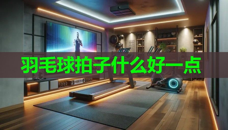 羽毛球拍子什么好一点