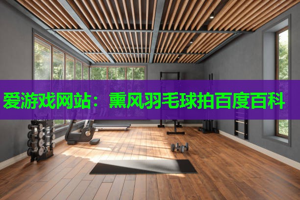 爱游戏网站：熏风羽毛球拍百度百科