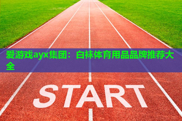 爱游戏ayx集团：白袜体育用品品牌推荐大全