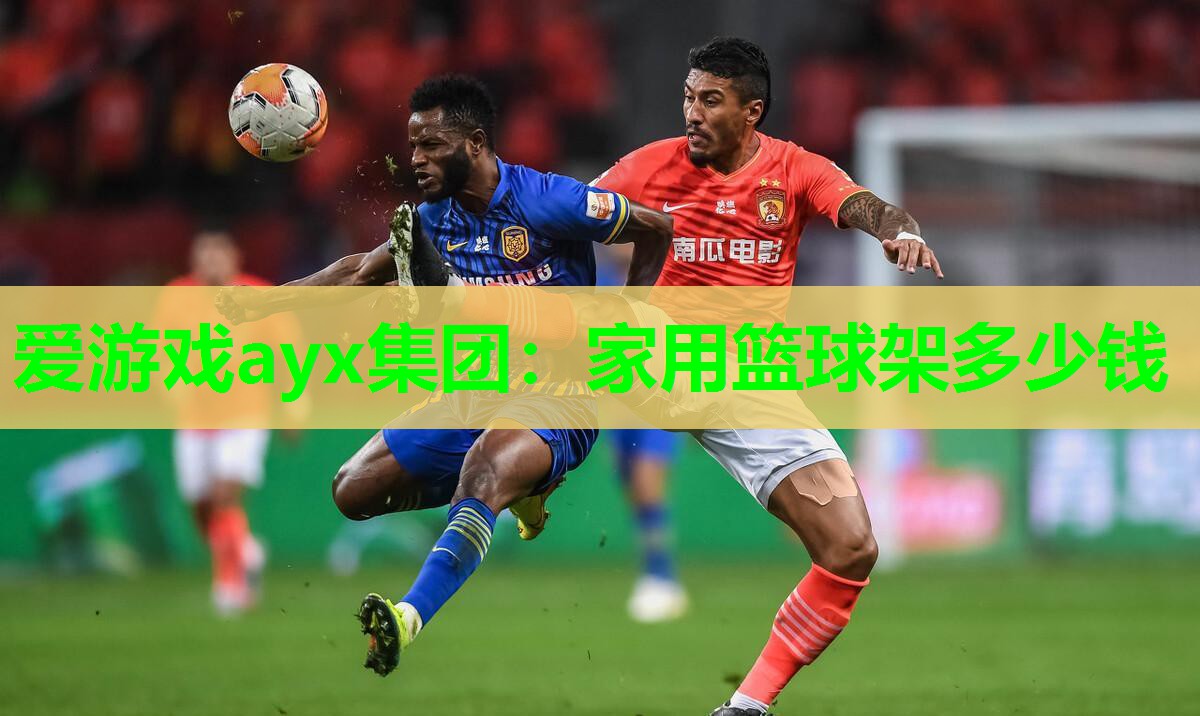 爱游戏ayx集团：家用篮球架多少钱