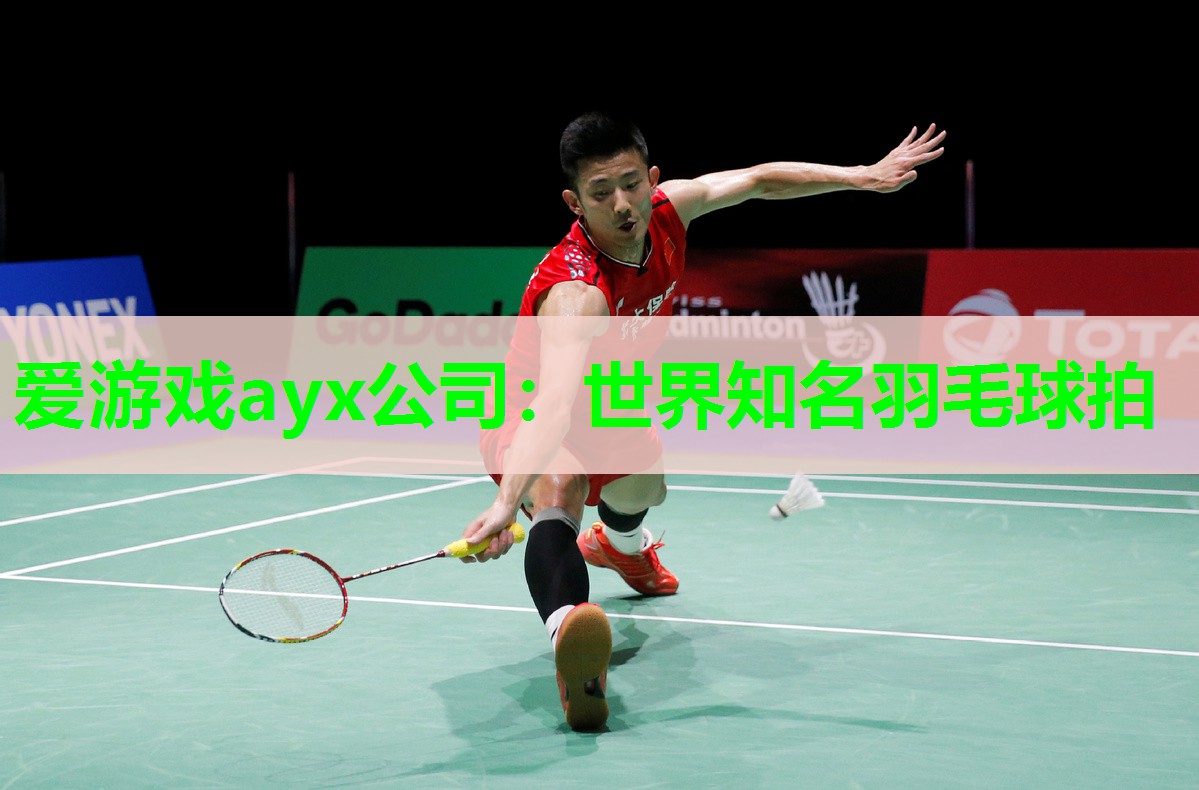 爱游戏ayx公司：世界知名羽毛球拍