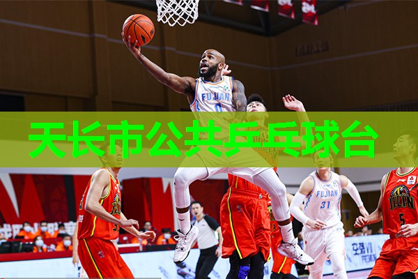天长市公共乒乓球台