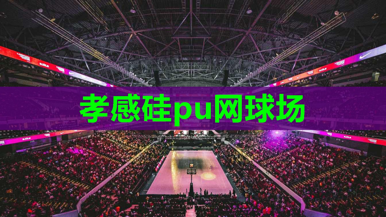 孝感硅pu网球场