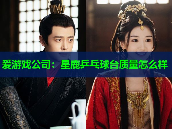 星鹿乒乓球台质量怎么样