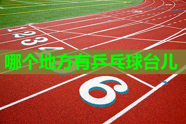 哪个地方有乒乓球台儿