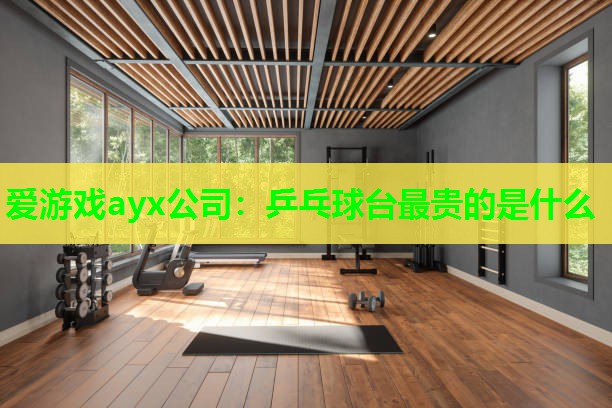 乒乓球台最贵的是什么
