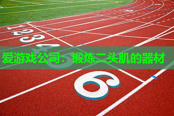 锻炼二头肌的器材