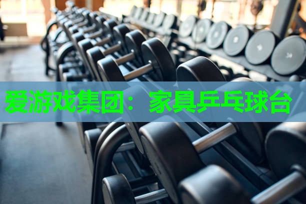 家具乒乓球台