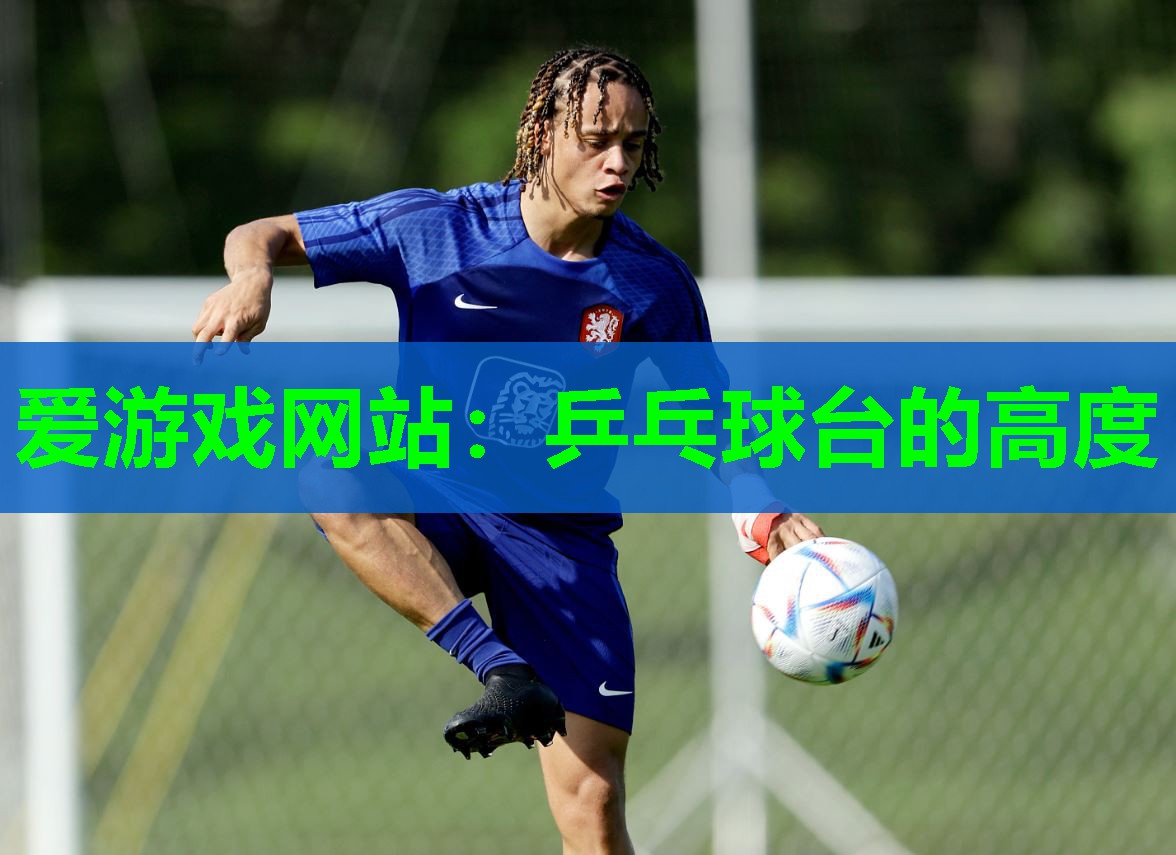 乒乓球台的高度