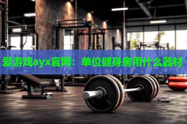 单位健身房用什么器材