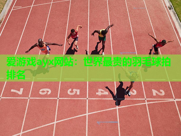世界最贵的羽毛球拍排名
