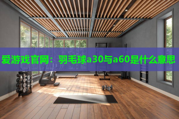 羽毛球a30与a60是什么意思