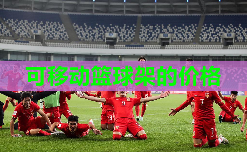 可移动篮球架的价格