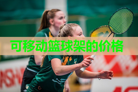 可移动篮球架的价格