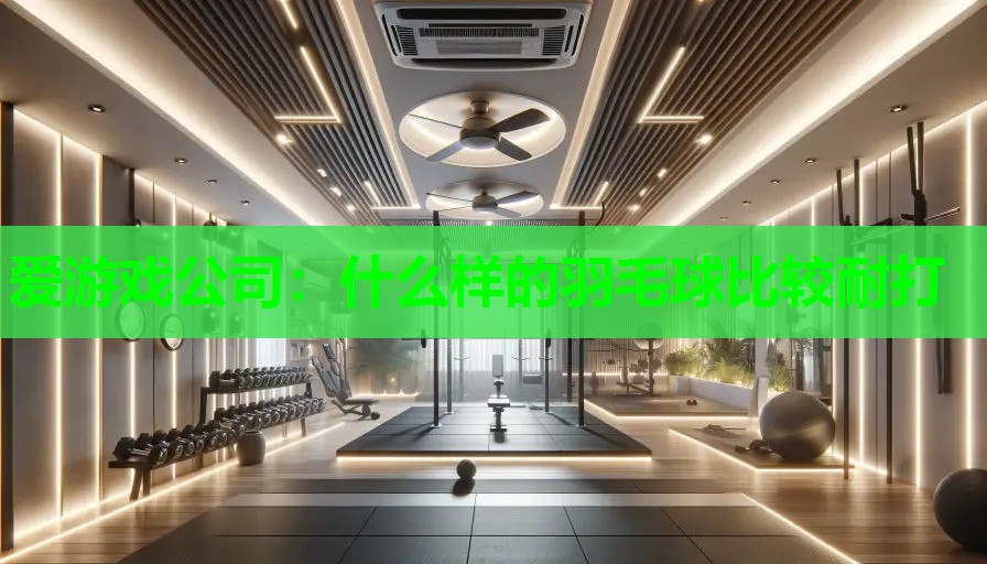 什么样的羽毛球比较耐打