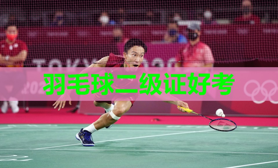 羽毛球二级证好考