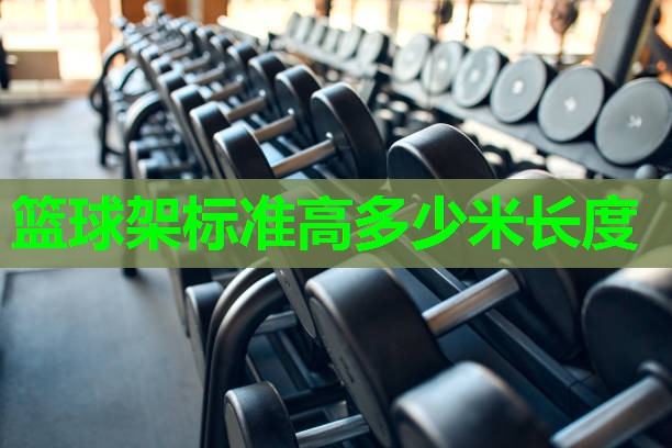 篮球架标准高多少米长度