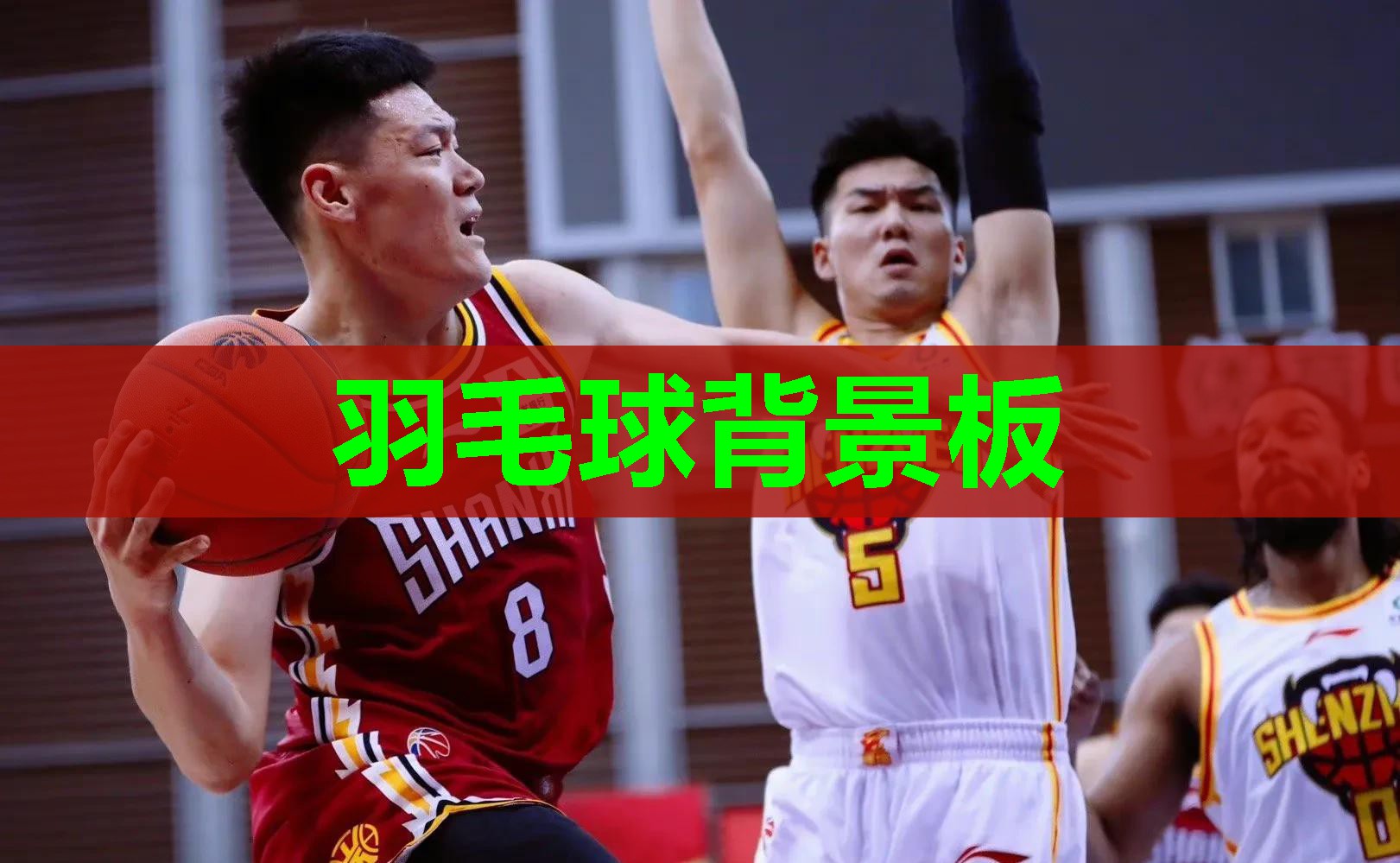 羽毛球背景板