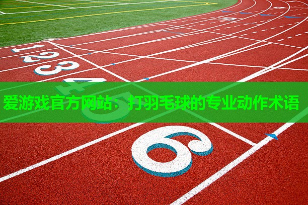 打羽毛球的专业动作术语