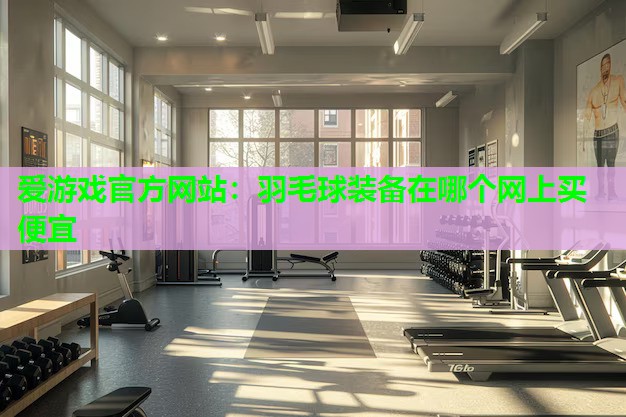羽毛球装备在哪个网上买便宜