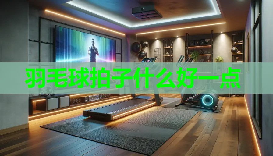 羽毛球拍子什么好一点