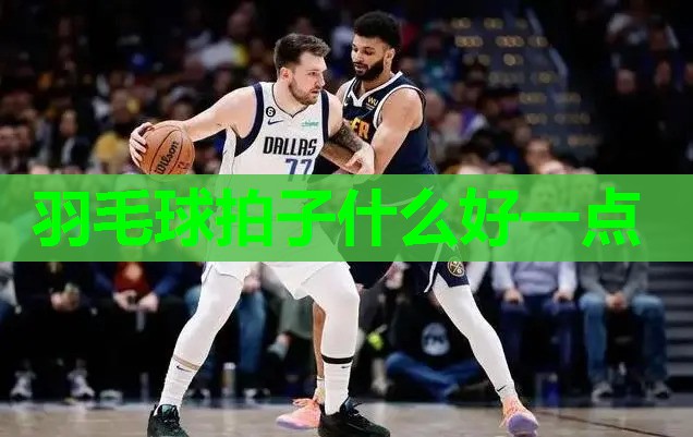羽毛球拍子什么好一点